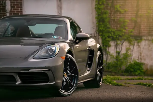 Casino Spin Pug Aip Android/iOS